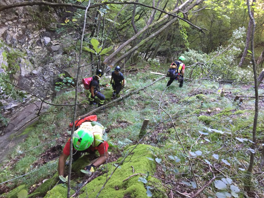 Tragedia In Alta Valtrebbia Fungaiolo Cade Nel Bosco E Muore Libert