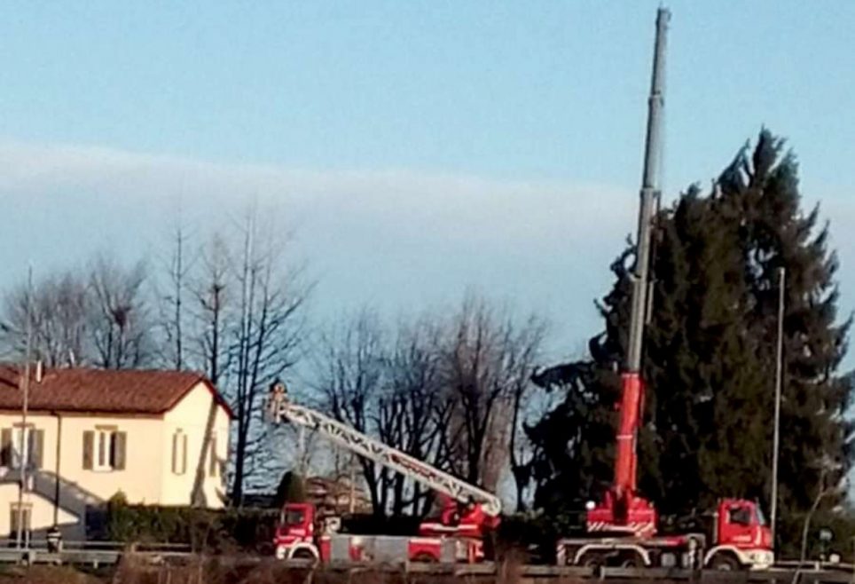 Raffiche di vento forte sulla città alberi e rami caduti due strade