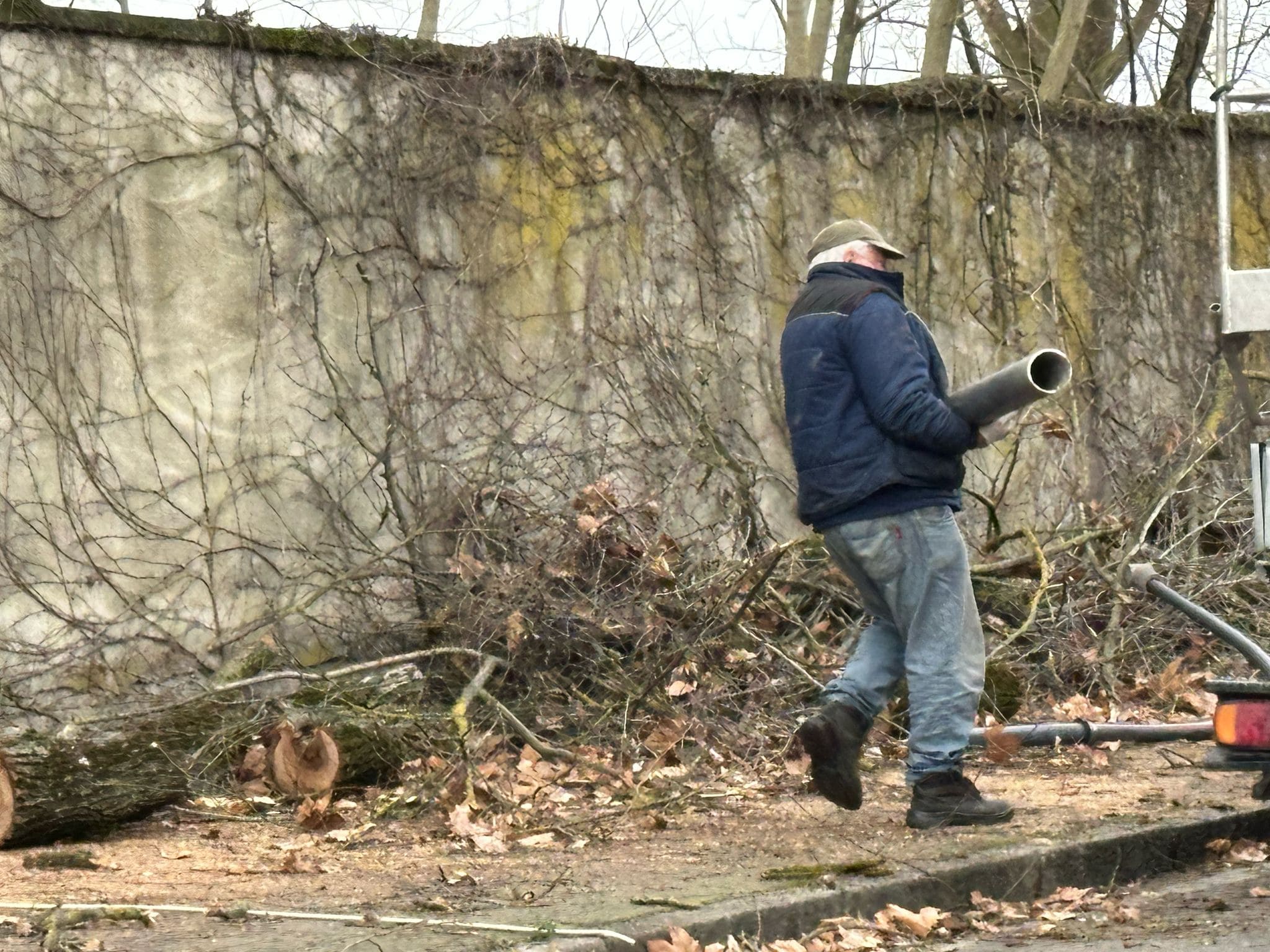 Allerta Meteo Per Il Vento Cadono Alberi E Pali Della Luce Neve In