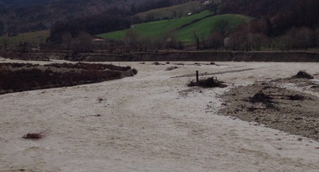 Dossier pesticidi in Emilia Romagna, allarme anche nel Piacentino