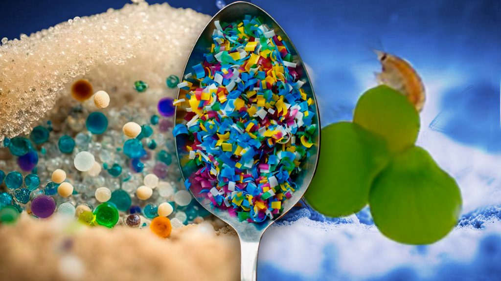 Dall'acqua Al Piatto: Così Le Microplastiche Contaminano Il Cibo Che ...